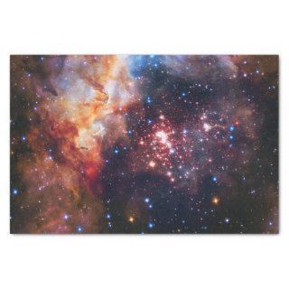 Falln Westerlund Star Field Tissue Paper