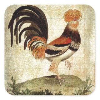 Fancy Rooster Square Sticker