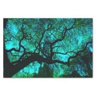 Fantasy Turquoise Tree Silhouette Tissue Paper