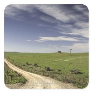 Farm road twining between wheat fields, Caledon, Square Sticker