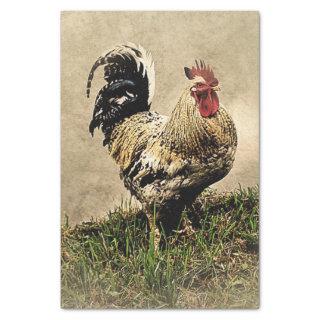 Farm Rooster Decoupage Tissue Paper