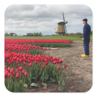 Farmer inspecting his tulips and windmill square sticker