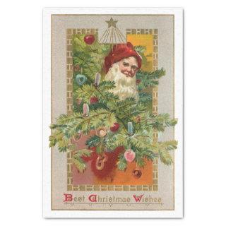 Father Christmas with Decorated Tree & Star Tissue Paper