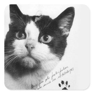 Félicette: The First Cat in Space Square Sticker