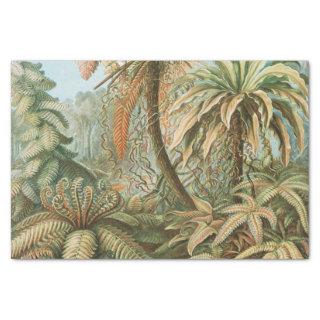 Ferns, Filicinae Laubfarne by Ernst Haeckel Tissue Paper