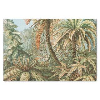 Ferns, Filicinae Laubfarne by Ernst Haeckel Tissue Paper