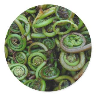 Fiddlehead Ferns Classic Round Sticker