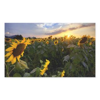 Field of Blooming Sunflowers Rectangular Sticker