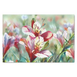 Field of Flowers-Alstroemeria (C) Watercolor  Tissue Paper