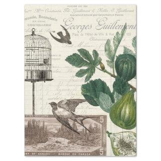 FIGS AND FINCHES VINTAGE MARKET TISSUE PAPER