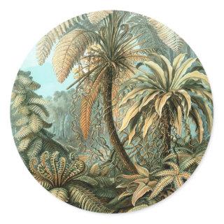 Filicinae by Ernst Haeckel, Vintage Fern Plants Classic Round Sticker