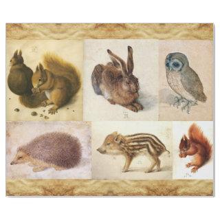 FINE ART COLLECTION  / Animal Drawings Parchment