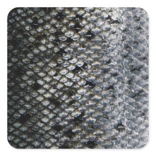 Fish Scales Square Sticker