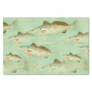 Fish vintage color illustration pattern tissue paper