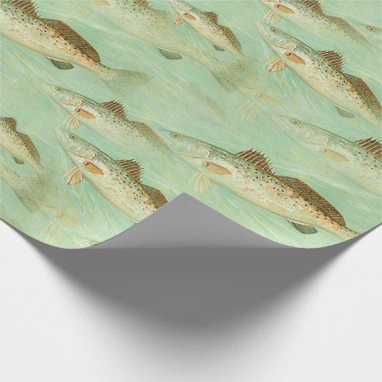 Fish vintage color illustration pattern