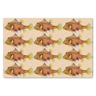 fish wrap tissue paper