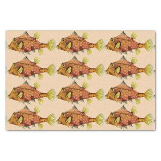 fish wrap tissue paper