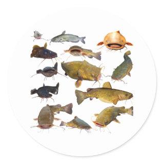 Fishing catfish classic round sticker