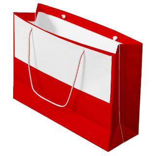 Flag of Thuringia Large Gift Bag
