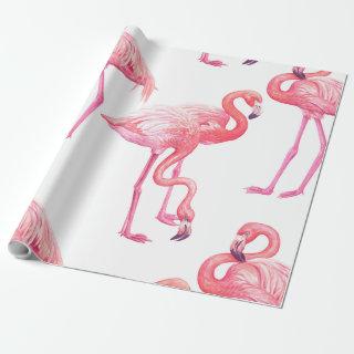 Flamingos
