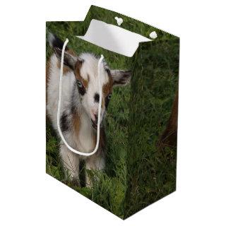 Flashy Nigerian Dwarf Goat Kid Medium Gift Bag