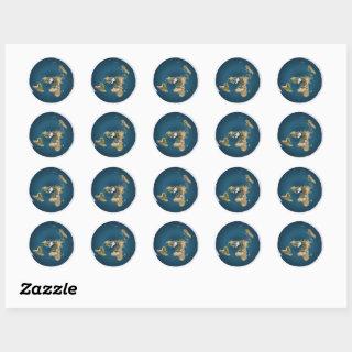 Flat Earth Azimuthal Projection Map Sticker