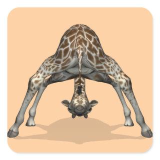 Flexible Giraffe Square Sticker