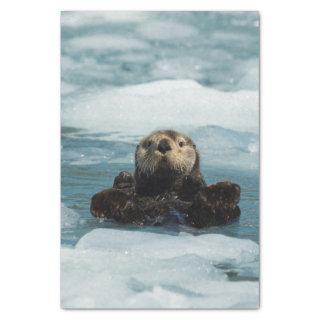 Floating Otter Tissue Paper