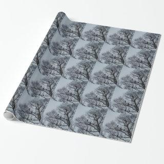 Flock of Vultures in a winter tree