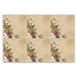 Floral Toucan Tissue Paper