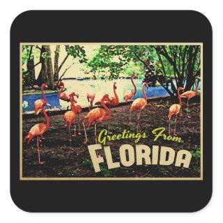 Florida Pink Flamingos Square Sticker