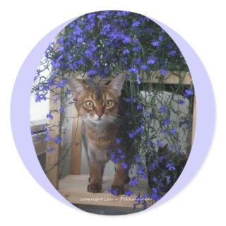Flower Cat (oval) Classic Round Sticker