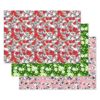 Flower Patterns, Red, Pink and Gray, White & Green  Sheets