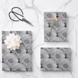 Fluffy White Dandelions Nature Pattern   Sheets