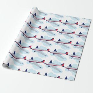 Flying Airplane