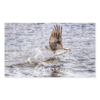 Flying Osprey & Fish HDR Wildlife Photo Gift Rectangular Sticker