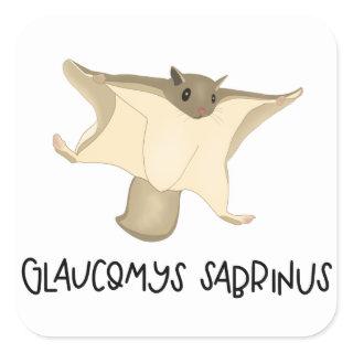 Flying squirrel sticker