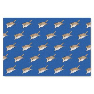 Flying Squirrel  Tissue Paper
