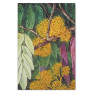 Foliage, Flowers and Fruit of a Mayalan Tree Tissue Paper