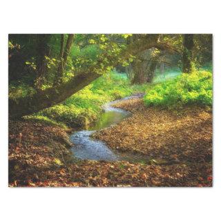 Forest Creek Beautiful Nature Landscape Photo Tissue Paper