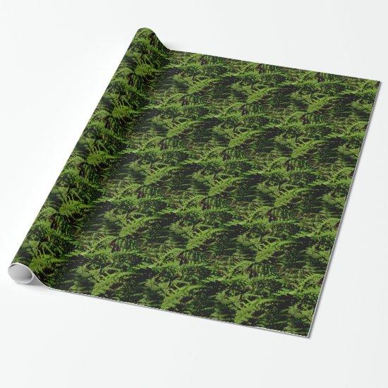Forest Floor Ferns