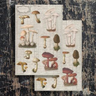 Forest Mushrooms Cottagecore Ephemera Decoupage Tissue Paper