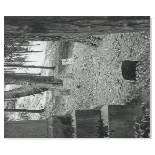 Forgotten Grave