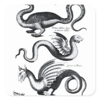 Four types of dragon square sticker