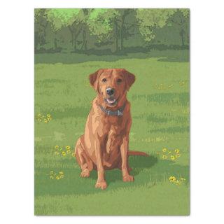 Fox Red Yellow Labrador Retriever Dog Tissue Paper