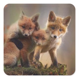 Foxy Triplets Square Sticker