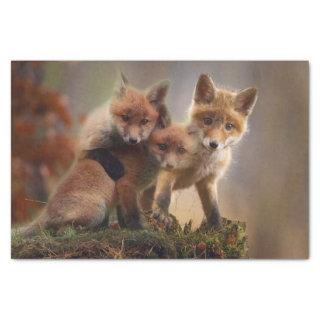 Foxy Triplets Tissue Paper