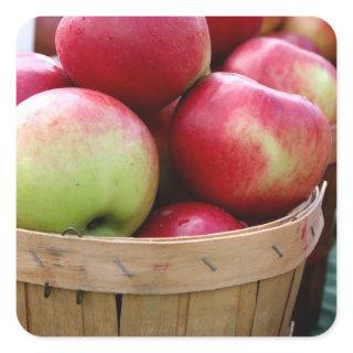 Fresh Apples in Basket at Farmers Market Square Sticker