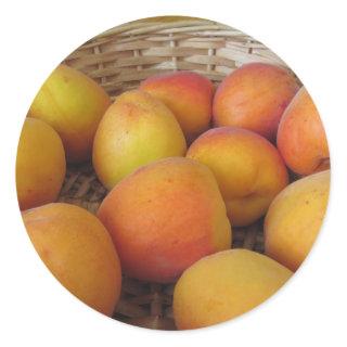 Fresh apricots in a wicker basket classic round sticker
