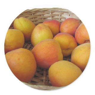 Fresh apricots in a wicker basket on white classic round sticker
